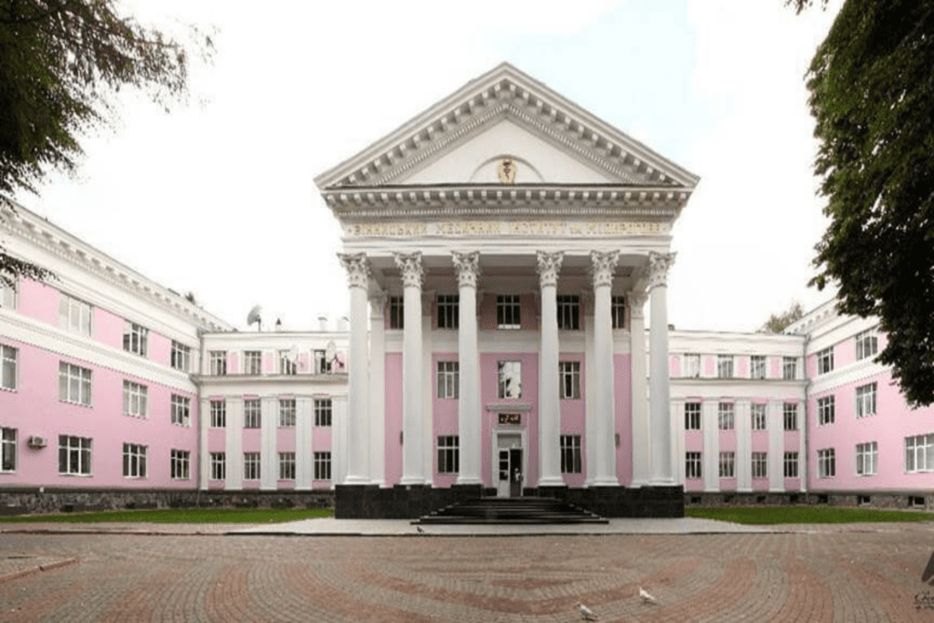Study palace hub (MBBS in Ukraine)(National Pirogov Memorial Medical University)